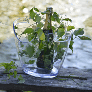 vasque à champagne transparente